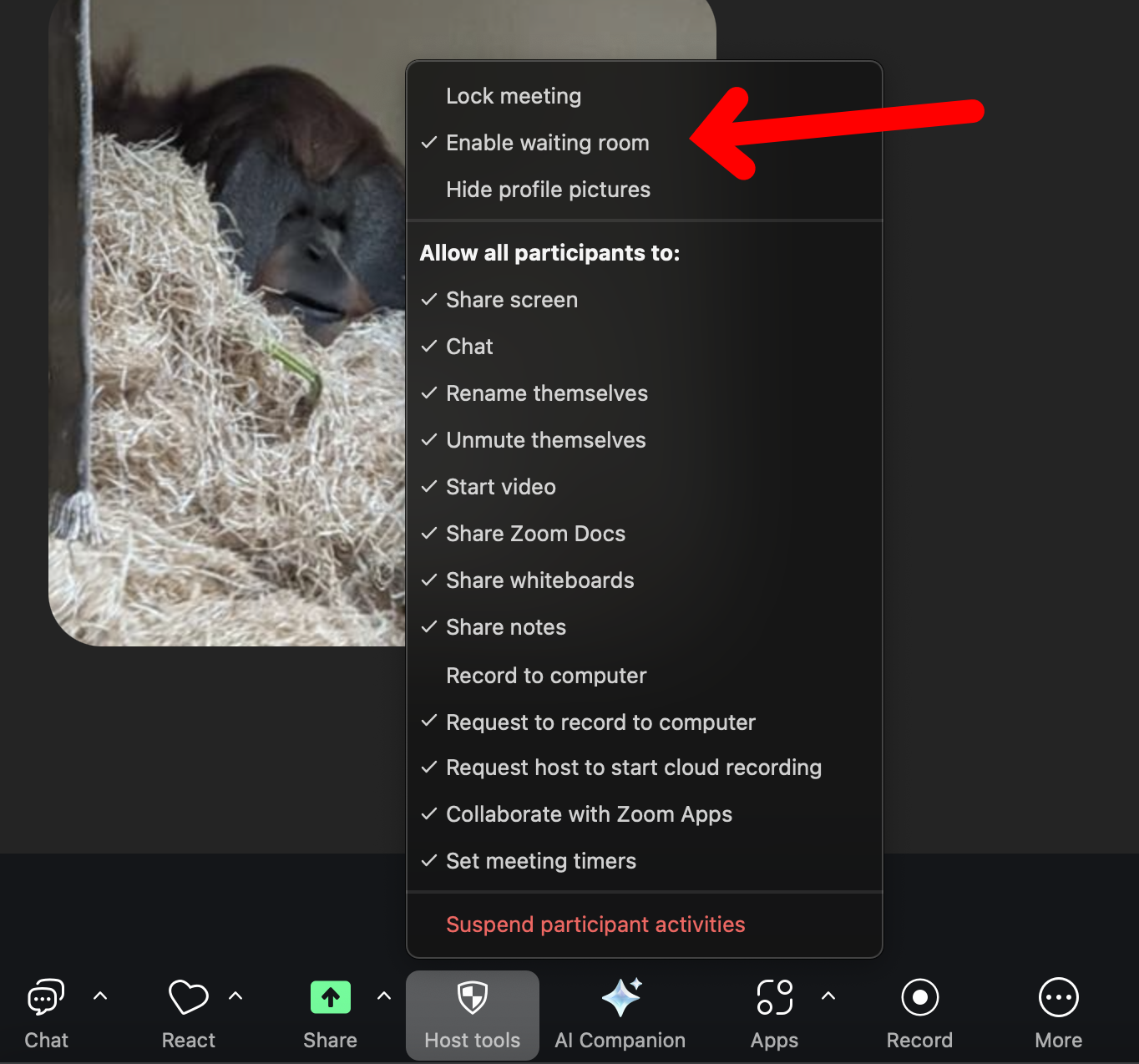 Host tools in desktop
